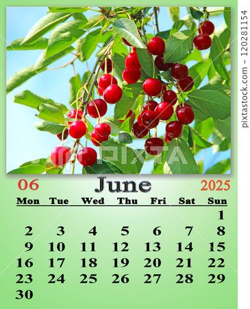 June calendar 2025 with photo of cherries hanging on the branch. June 2025 June calendar 2025 with photo of cherries hanging on the branch. June 2025 120281154