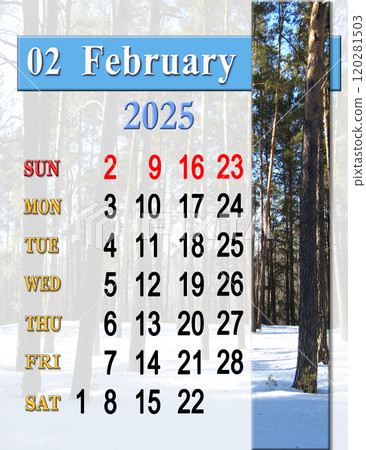 calendar for February 2025 with photo of snowy pine forest. Business calendar 120281503