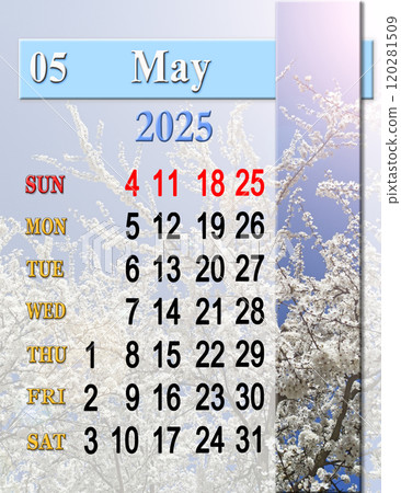 May calendar for 2025. Daily organizer. Flying bumblebee imaged on calendar May calendar for 2025. Daily organizer. Flying bumblebee imaged on calendar 120281509