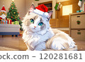 Cute Ragdoll kitten enjoying Christmas Cute Ragdoll kitten enjoying Christmas 120281681