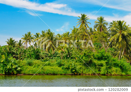 A picturesque lake with mangrove forests on the shore and bright sky. Sri Lanka A picturesque lake with mangrove forests on the shore and bright sky. Sri Lanka 120282009