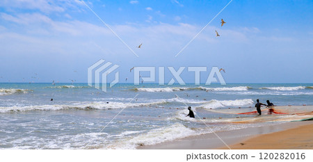 Group of men helping fishermen to pull over large fishing net from ocean at beach of south Sri Lanka. Group of men helping fishermen to pull over large fishing net from ocean at beach of south Sri Lanka. 120282016