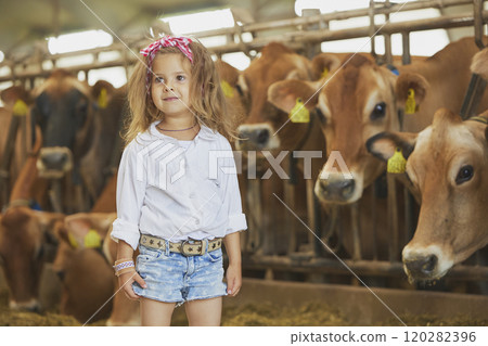 Charming child in a cowboy costume on a cows farm in Denmark 120282396