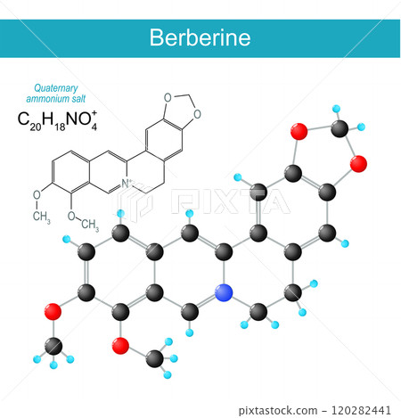 Berberine molecule. molecular chemical structural formula 120282441