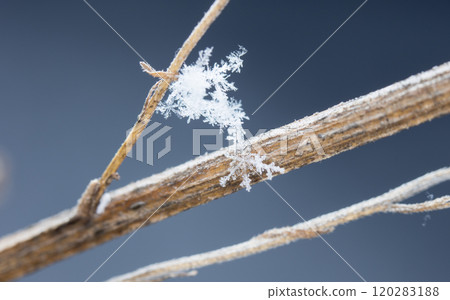 snapshot of a small snowflake taken during a snowfall snapshot of a small snowflake taken during a snowfall 120283188