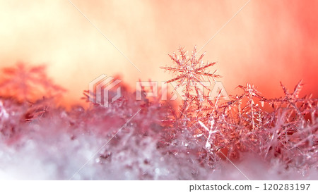 snapshot of a small snowflake taken during a snowfall 120283197