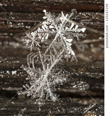 snapshot of a small snowflake taken during a snowfall snapshot of a small snowflake taken during a snowfall 120283199