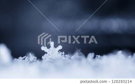 snapshot of a small snowflake taken during a snowfall 120283214