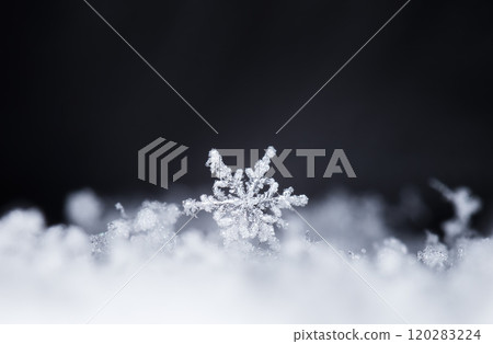 snowflakes, winter card, crystals of snow 120283224