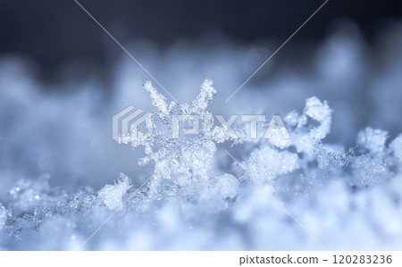 snowflakes, winter card, crystals of snow 120283236
