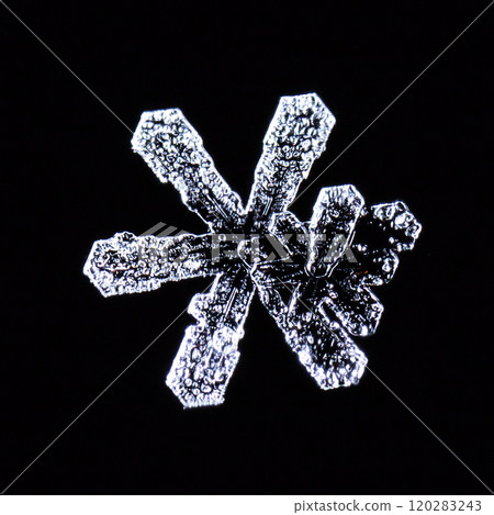 snowflakes, winter card, crystals of snow 120283243
