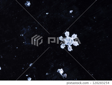 snowflakes, winter card, crystals of snow 120283254