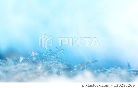 snowflakes, winter card, crystals of snow snowflakes, winter card, crystals of snow 120283269