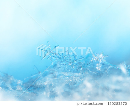 snowflakes, winter card, crystals of snow snowflakes, winter card, crystals of snow 120283270