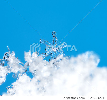 snowflakes, winter card, crystals of snow snowflakes, winter card, crystals of snow 120283271