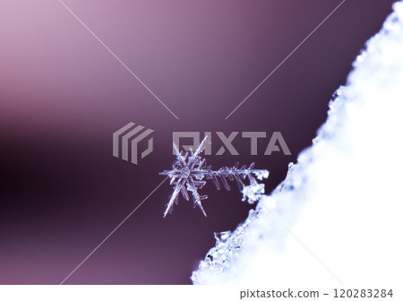 snowflakes, winter card, crystals of snow snowflakes, winter card, crystals of snow 120283284