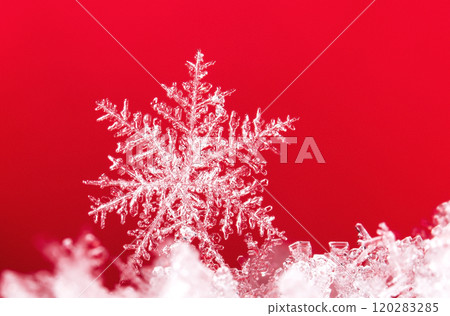 snowflakes, winter card, crystals of snow 120283285