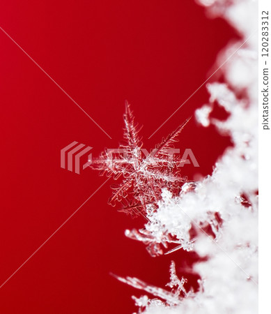 snowflake, little snowflake on the snow snowflake, little snowflake on the snow 120283312