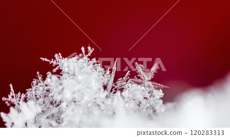 snowflake, little snowflake on the snow 120283313