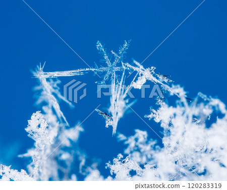 snowflake, little snowflake on the snow 120283319