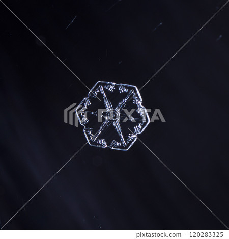 snowflake, little snowflake on the snow 120283325