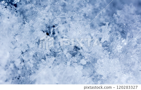 snowflake, little snowflake on the snow snowflake, little snowflake on the snow 120283327