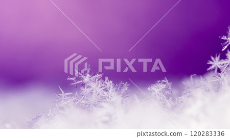 snowflake, little snowflake on the snow snowflake, little snowflake on the snow 120283336