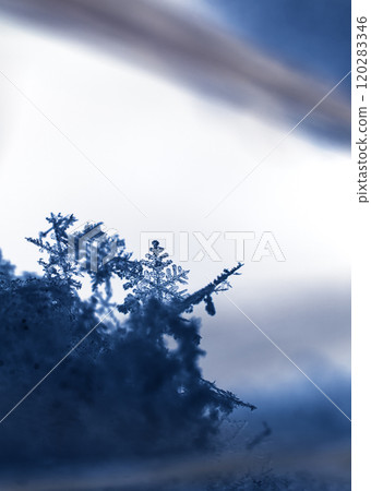 snowflake, little snowflake on the snow 120283346