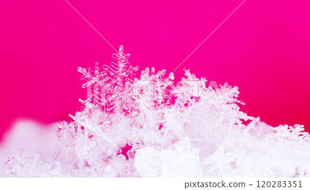 snowflake, little snowflake on the snow 120283351