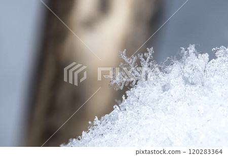 natural snowflakes on snow. the picture is made at a temperature of-10 C  120283364