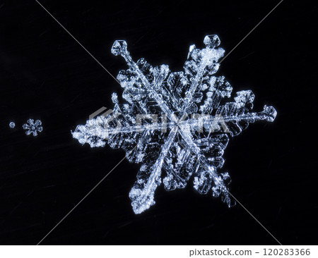 natural snowflakes on snow. the picture is made at a temperature of-10 C  120283366