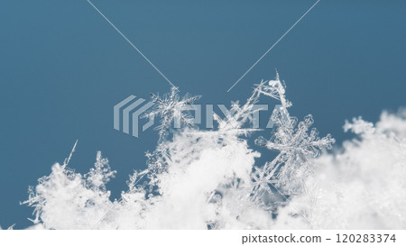 natural snowflakes on snow. the picture is made at a temperature of-10 C  120283374