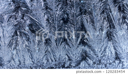 frosty pattern on glass, winter card 120283454