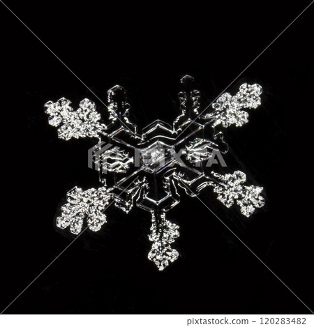 photo real snowflakes during a snowfall, under natural conditions at low temperature photo real snowflakes during a snowfall, under natural conditions at low temperature 120283482