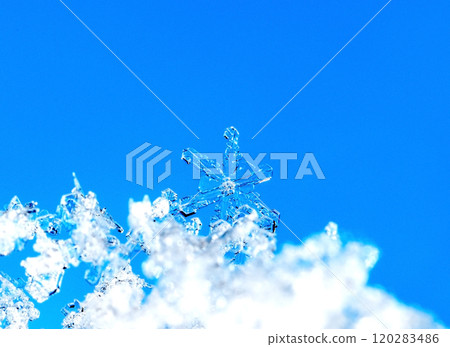 photo real snowflakes during a snowfall, under natural conditions at low temperature photo real snowflakes during a snowfall, under natural conditions at low temperature 120283486