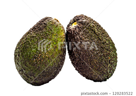 avocado, fruit, green 120283522