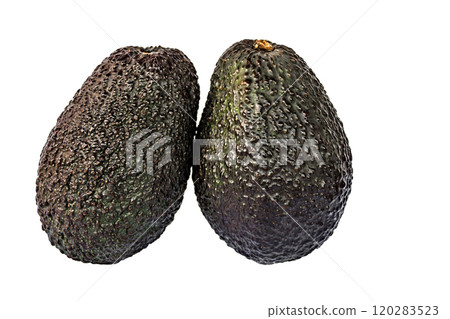 avocado, fruit, green 120283523