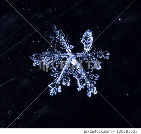 natural snowflakes, photo real snowflakes during a snowfall, under natural conditions at low temperature 120283525