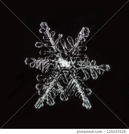 natural snowflakes, photo real snowflakes during a snowfall, under natural conditions at low temperature natural snowflakes, photo real snowflakes during a snowfall, under natural conditions at low temperature 120283526