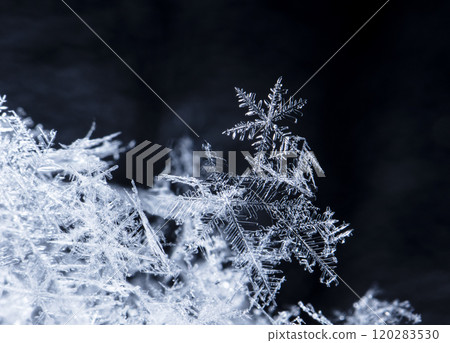 natural snowflakes, photo real snowflakes during a snowfall, under natural conditions at low temperature 120283530