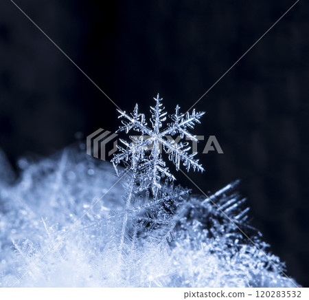natural snowflakes, photo real snowflakes during a snowfall, under natural conditions at low temperature 120283532