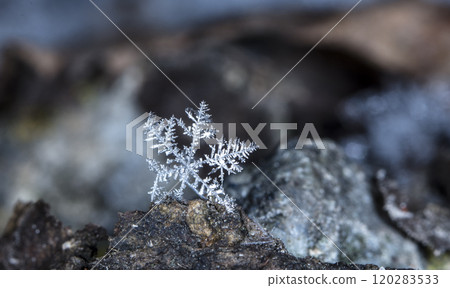natural snowflakes, photo real snowflakes during a snowfall, under natural conditions at low temperature 120283533