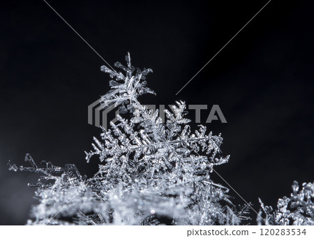 natural snowflakes, photo real snowflakes during a snowfall, under natural conditions at low temperature 120283534