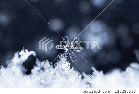 natural snowflakes, photo real snowflakes during a snowfall, under natural conditions at low temperature 120283558