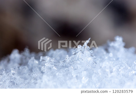 natural snowflakes, photo real snowflakes during a snowfall, under natural conditions at low temperature 120283579