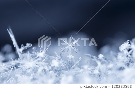 natural snowflakes, photo real snowflakes during a snowfall, under natural conditions at low temperature 120283598