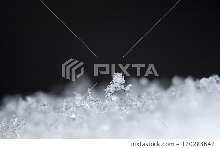 snowflake, little snowflake on the snow 120283642