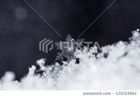 snowflake, little snowflake on the snow snowflake, little snowflake on the snow 120283662