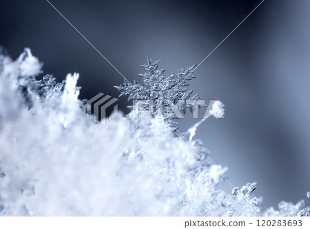 natural snowflakes on snow, winter natural snowflakes on snow, winter 120283693