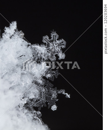 natural snowflakes on snow, winter 120283694